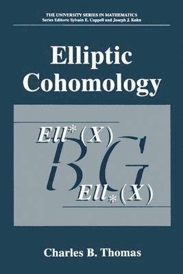 Elliptic Cohomology 1
