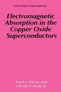 bokomslag Electromagnetic Absorption in the Copper Oxide Superconductors