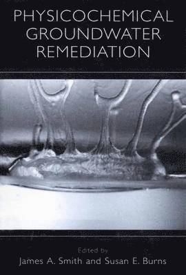 Physicochemical Groundwater Remediation 1