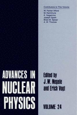 Advances in Nuclear Physics 1