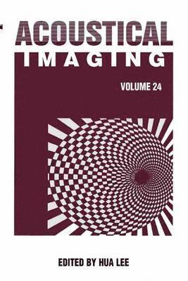 Hua Lee - Acoustical Imaging, Häftad