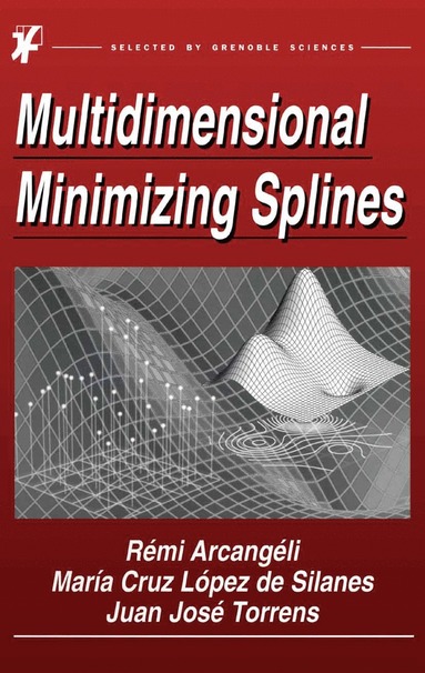 bokomslag Multidimensional Minimizing Splines