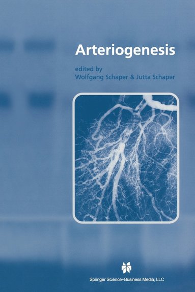 bokomslag Arteriogenesis