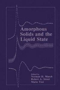 bokomslag Amorphous Solids and the Liquid State