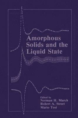 bokomslag Amorphous Solids and the Liquid State