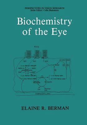 bokomslag Biochemistry of the Eye