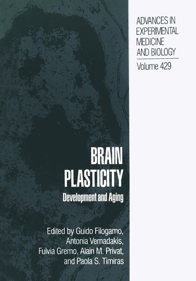 bokomslag Brain Plasticity