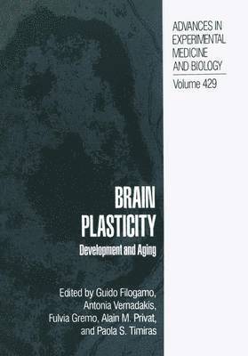 Brain Plasticity 1