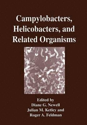 Diane G. Newell, Julian M. Ketley, Roger A. Feldman - Campylobacters, Helicobacters, and Related Organisms, Häftad