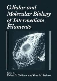 bokomslag Cellular and Molecular Biology of Intermediate Filaments