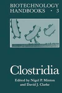 bokomslag Clostridia
