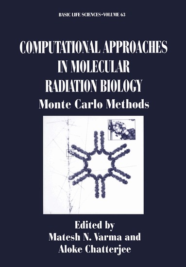 Matesh N. Varma, Aloke Chatterjee - Computational Approaches in Molecular Radiation Biology, Häftad