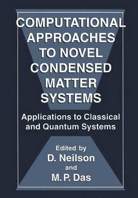 Computational Approaches to Novel Condensed Matter Systems 1