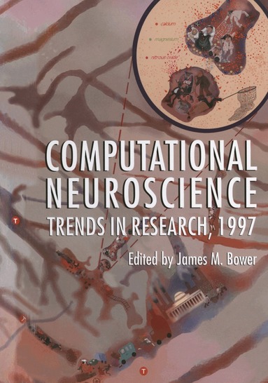 James M. Bower - Computational Neuroscience, Häftad