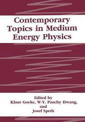 bokomslag Contemporary Topics in Medium Energy Physics