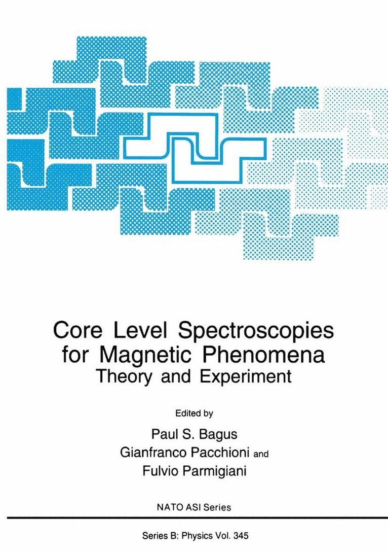Paul S. Bagus, Gianfranco Pacchioni, Fulvio Parmigiani - Core Level Spectroscopies for Magnetic Phenomena, Häftad