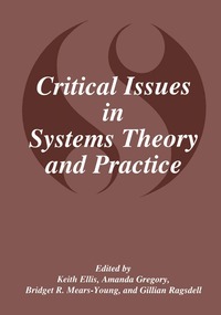 bokomslag Critical Issues in Systems Theory and Practice