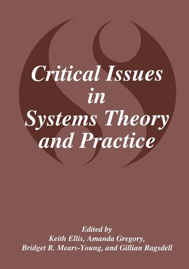 K. Ellis, Amanda J. Gregory, B.R. Mears-Young, Gillian Ragsdell - Critical Issues in Systems Theory and Practice, Häftad