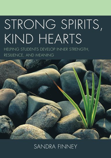 bokomslag Strong Spirits, Kind Hearts