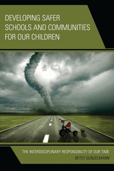 Betsy Gunzelmann - Developing Safer Schools and Communities for Our Children, Häftad