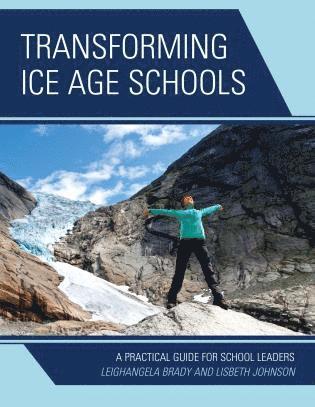 bokomslag Transforming Ice Age Schools