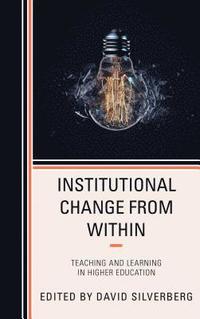 bokomslag Institutional Change from Within