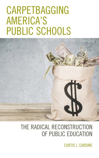 bokomslag Carpetbagging America's Public Schools