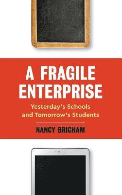 bokomslag A Fragile Enterprise