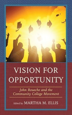 Vision for Opportunity 1