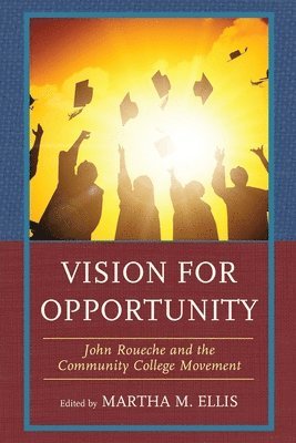 Vision for Opportunity 1