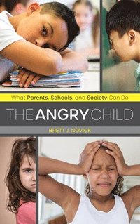 bokomslag The Angry Child