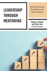 bokomslag Leadership through Mentoring