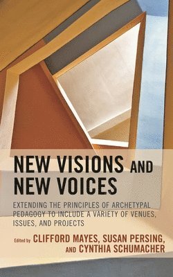 bokomslag New Visions and New Voices