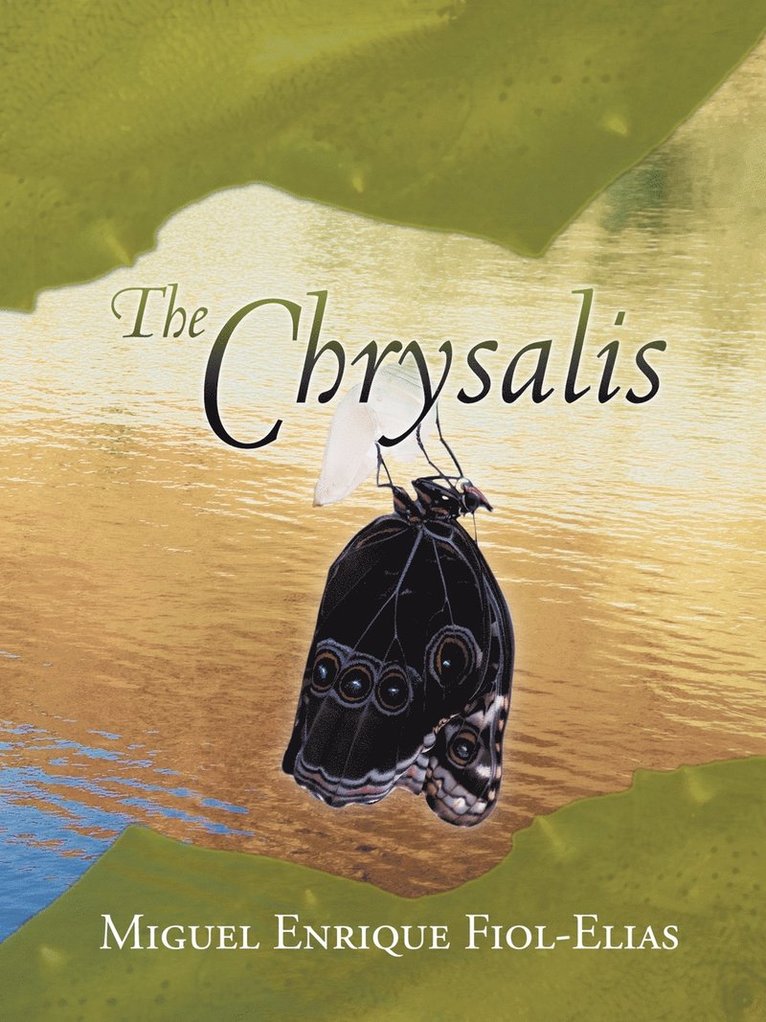 The Chrysalis 1