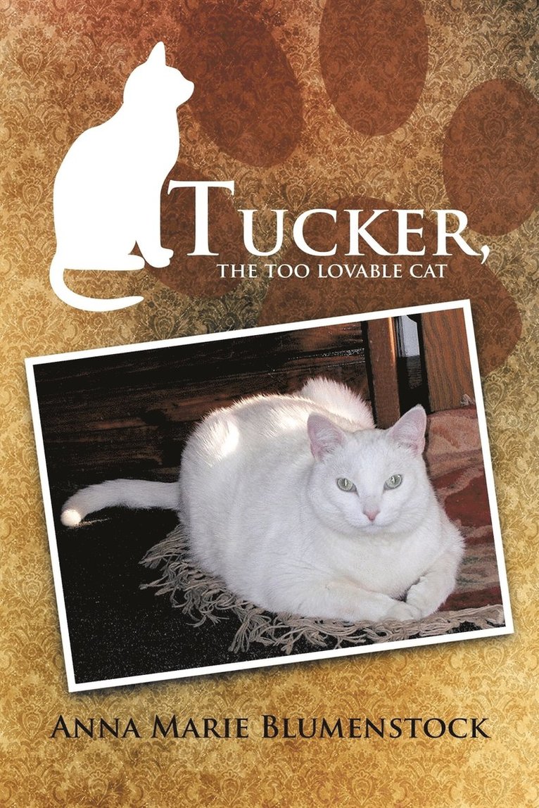 Tucker, the too lovable cat 1