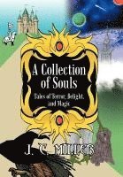 bokomslag A Collection of Souls