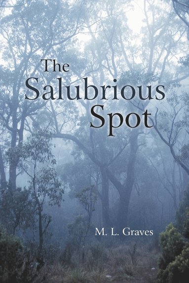 bokomslag Salubrious Spot