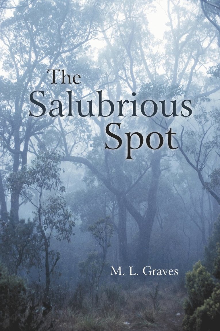 M L Graves, M. L. Graves - Salubrious Spot, Häftad