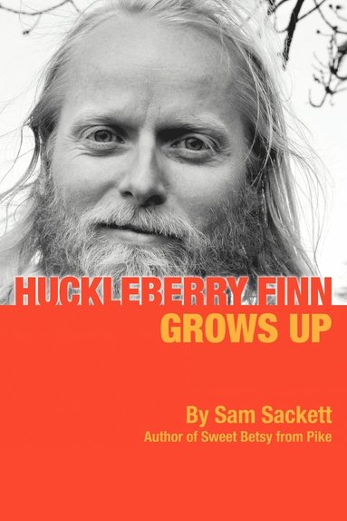 bokomslag Huckleberry Finn Grows Up