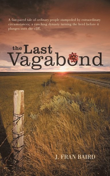 bokomslag Last Vagabond