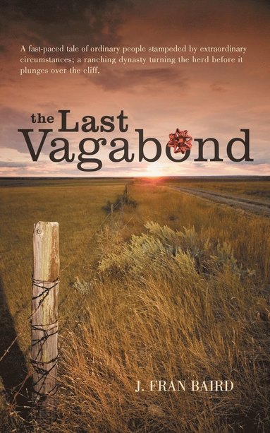 bokomslag The Last Vagabond