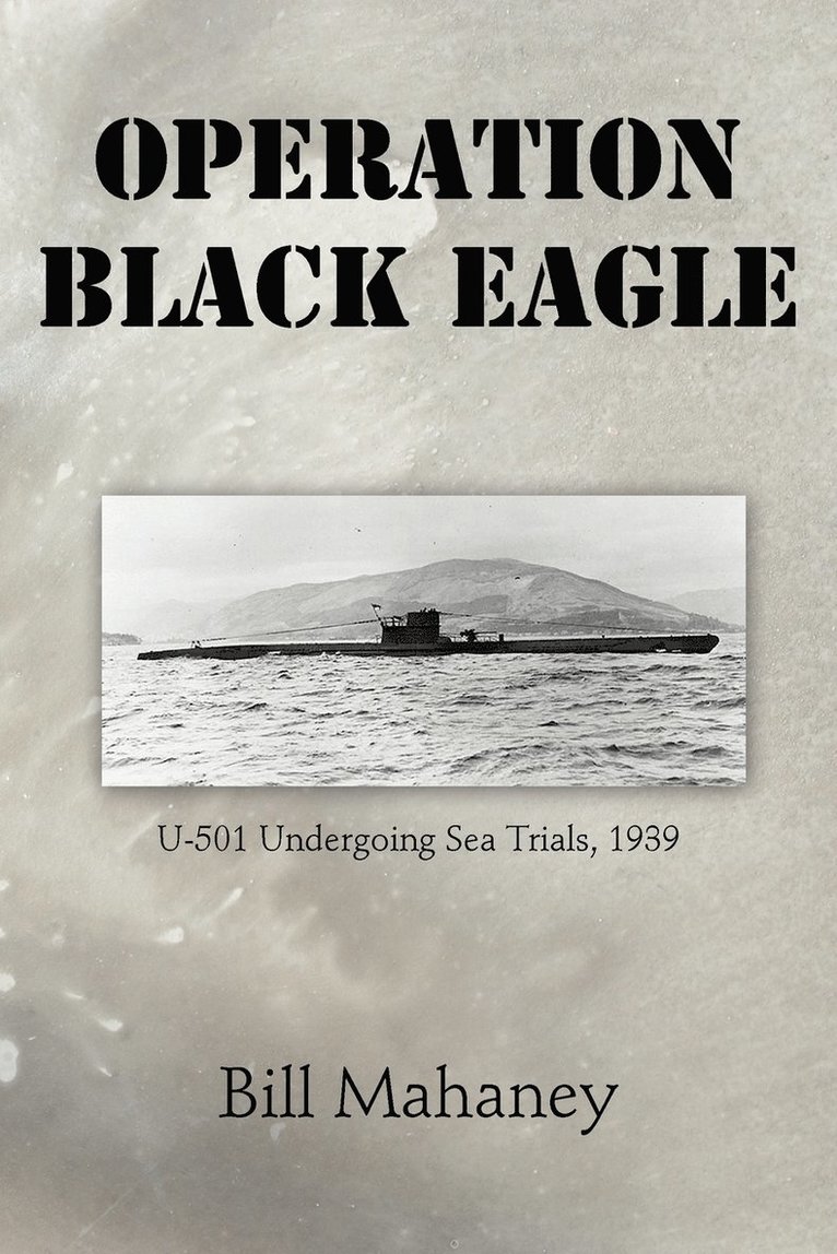 Operation Black Eagle 1