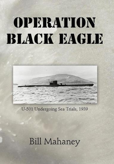 bokomslag Operation Black Eagle