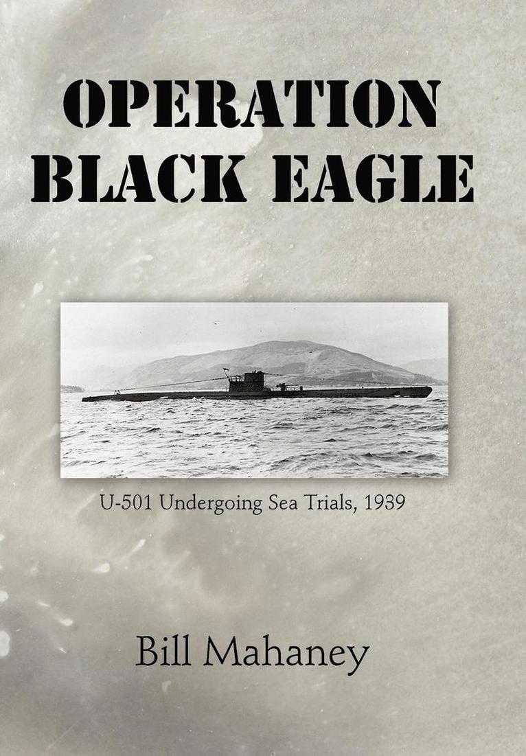 Operation Black Eagle 1