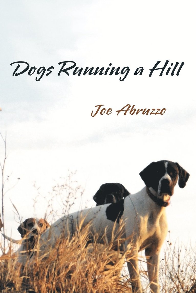 Dogs Running a Hill 1