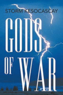 bokomslag Gods of War