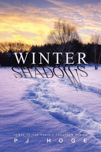 bokomslag Winter Shadows
