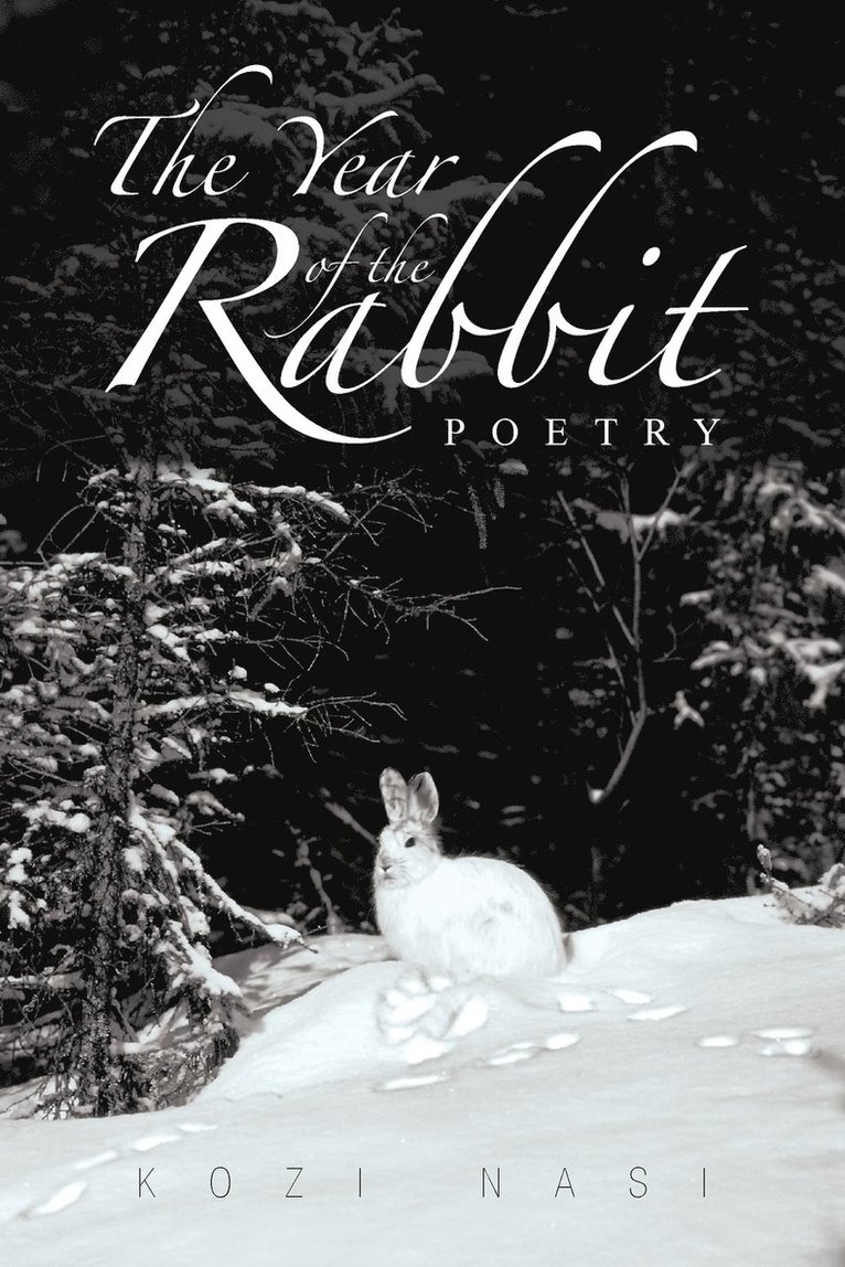 The Year of the Rabbit 1