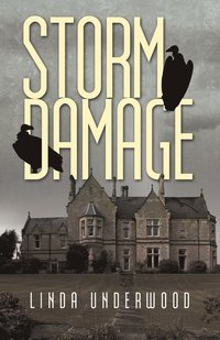 bokomslag Storm Damage