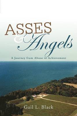 bokomslag Asses and Angels